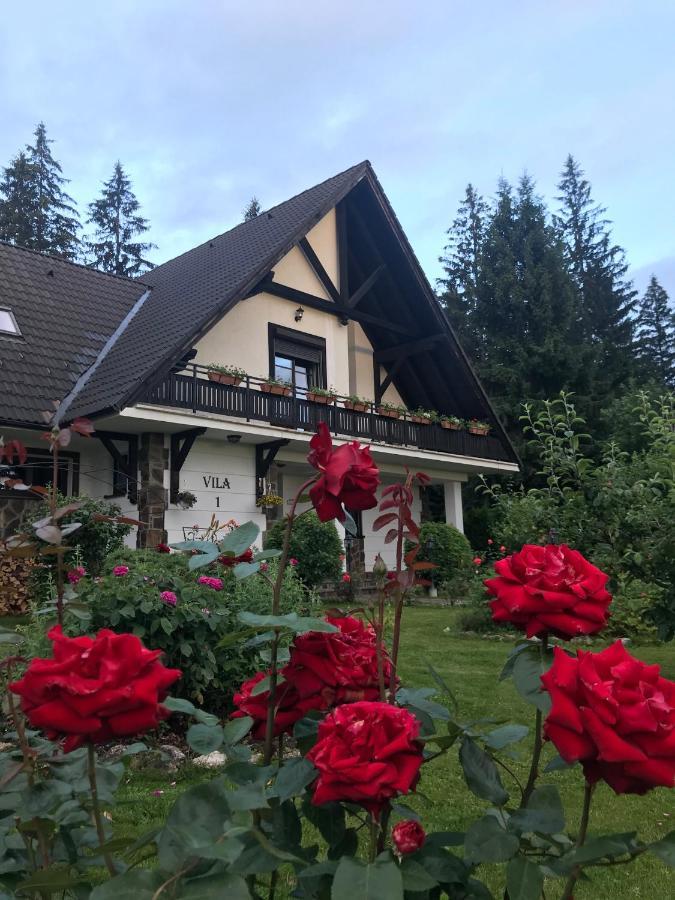 Complex Vile- Milana M Residence Brassópojána Kültér fotó