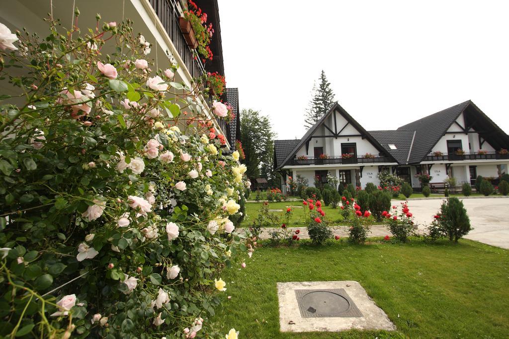 Complex Vile- Milana M Residence Brassópojána Kültér fotó
